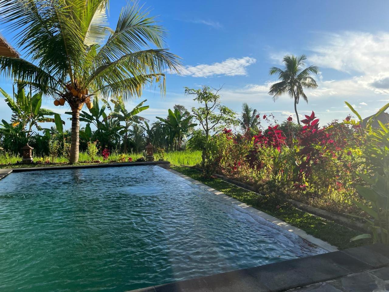 Pondok Apsari 2 ซีงาราจา ภายนอก รูปภาพ